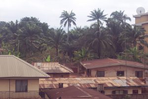 Village of Nnwee, Anambra State ; Southeast Nigeria