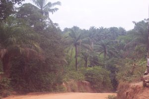 Village of Ozubulu; Anambra State; Southeast Nigeria
