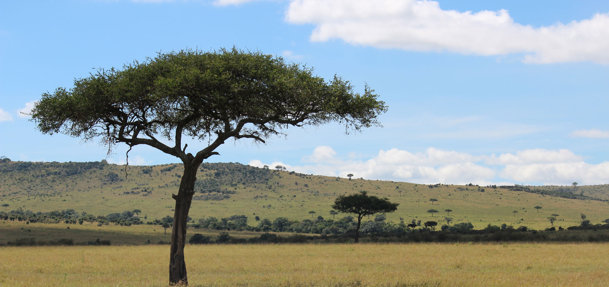 banner-Maasai-Mara-KENYA