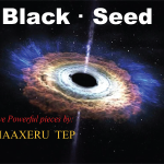 Black Seed Cover